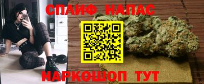 таблы Будённовск