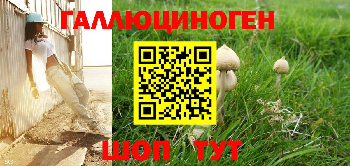Галлюциногенные грибы GOLDEN TEACHER Псков