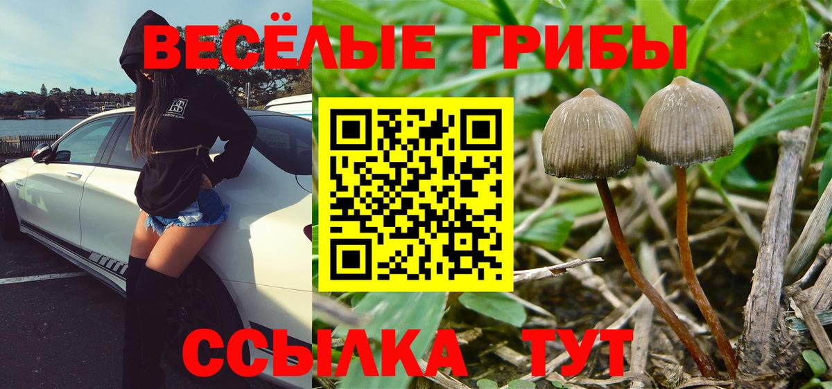 Галлюциногенные грибы ЛСД  Псилоцибиновые грибы Magic Shrooms  Вход с VPN  Псков 